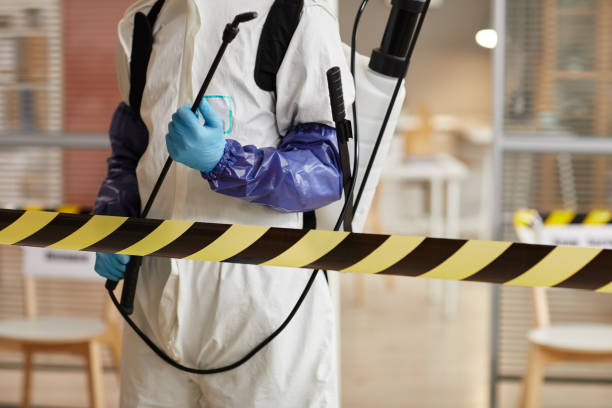 Professional Sewage Cleanup technician working in Fort Morgan, CO